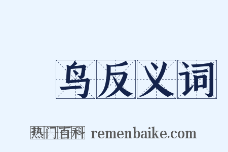 樫鸟反义词是什么意思的图片